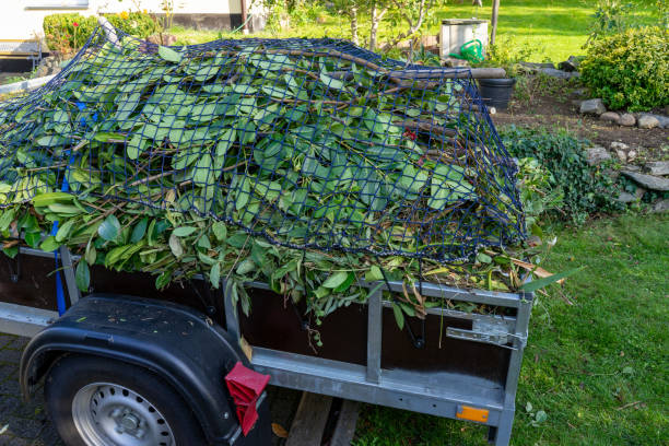 Best Estate Cleanout  in Maplewood, MN